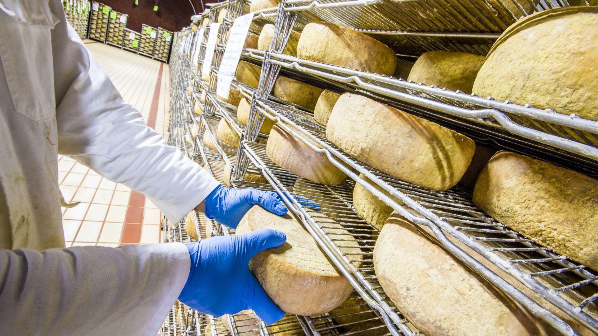 Che cos'è il controllo qualità alimentare? 